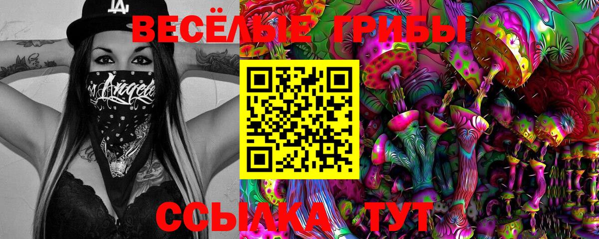 Псилоцибиновые грибы прущие грибы Коряжма