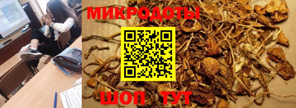 Галлюциногенные грибы прущие грибы  Галлюциногенные грибы ЛСД  Коряжма  Вход с VPN 